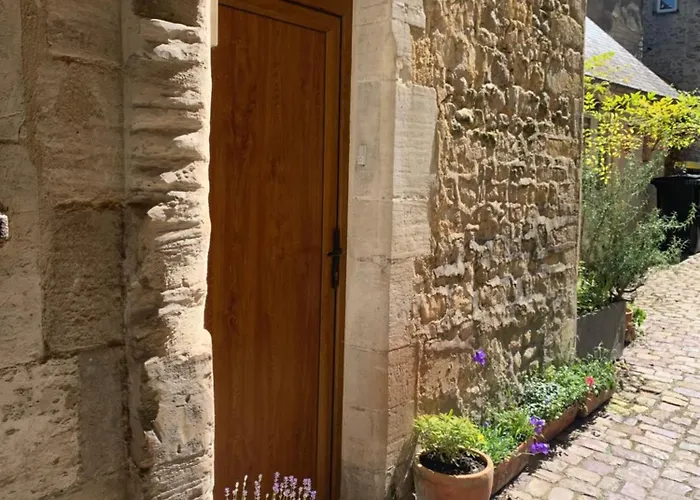 Dodo Et Tartines The10-12